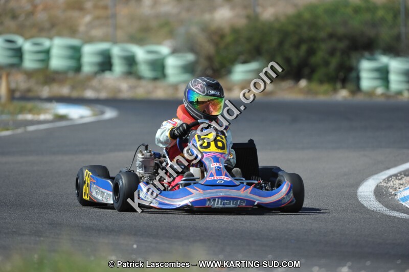 DSC (919).JPG